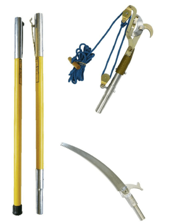 7 Best Manual Pole Saw Buyer's Guide 2021 homenewtools